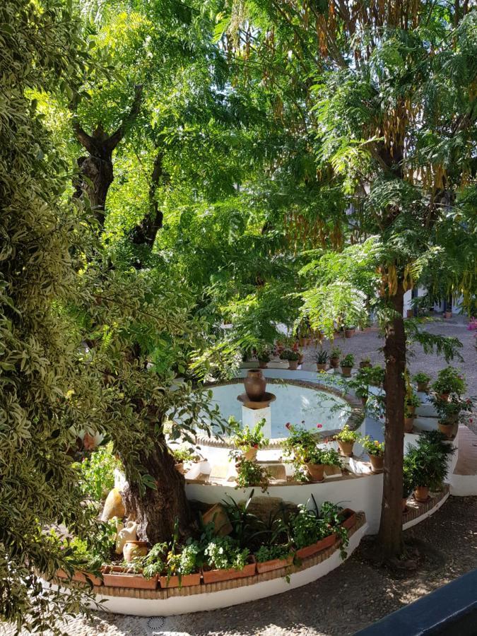 Patio Andaluz Siglo XVI Διαμέρισμα Σεβίλλη Εξωτερικό φωτογραφία