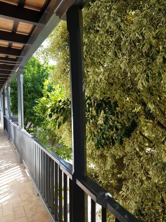 Patio Andaluz Siglo XVI Διαμέρισμα Σεβίλλη Εξωτερικό φωτογραφία